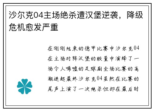 沙尔克04主场绝杀遭汉堡逆袭，降级危机愈发严重